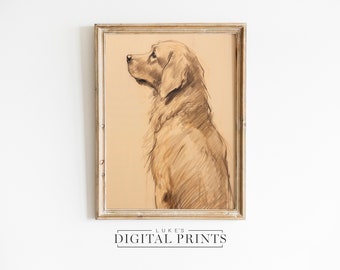 Boceto de retrato de Golden Retriever - Descarga de impresión digital - Obra de arte vintage para amantes de los perros - Dibujo IMPRIMIBLE de boceto de arte para mascotas