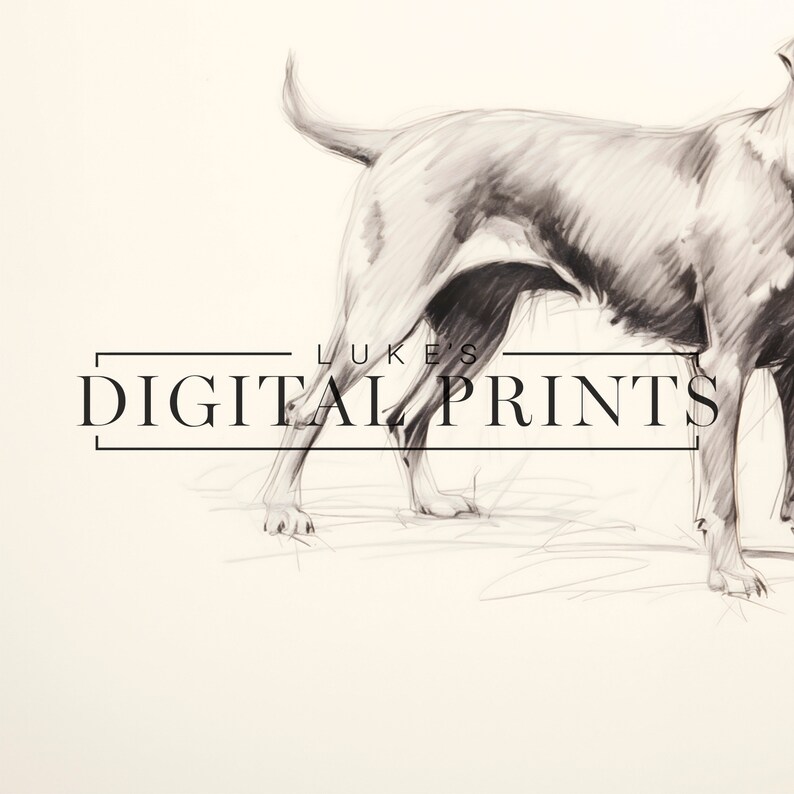 Silver Labrador Art Drawing Print - Vintage Digital Download- Pet Dog Sketch Wall Decor - PRINTABLE