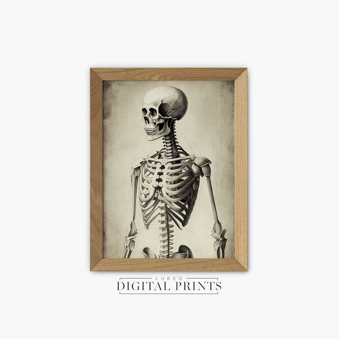 Squeleton Portrait Vintage Skeleton Portrait Sketch Digital Print - Instant Poster ...