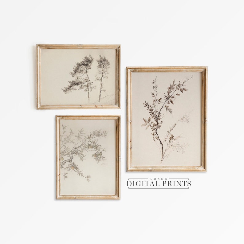 Rustic Tree Branch Sketch Print Set of 3 - Digital Download Artworks ...
