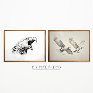 Set Of 2 - Eagle Drawings - Digital Print Downloads - Vintage Wildlife Bird Sketch And Portrait Illustration - PRINTABLE