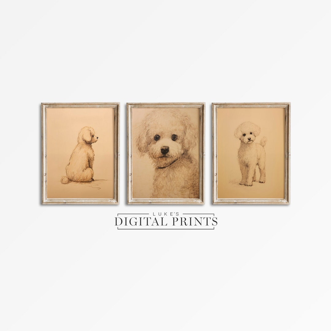 PRINTABLE Bichon Frise Portrait Set of 3 Digital Print Downloads ...