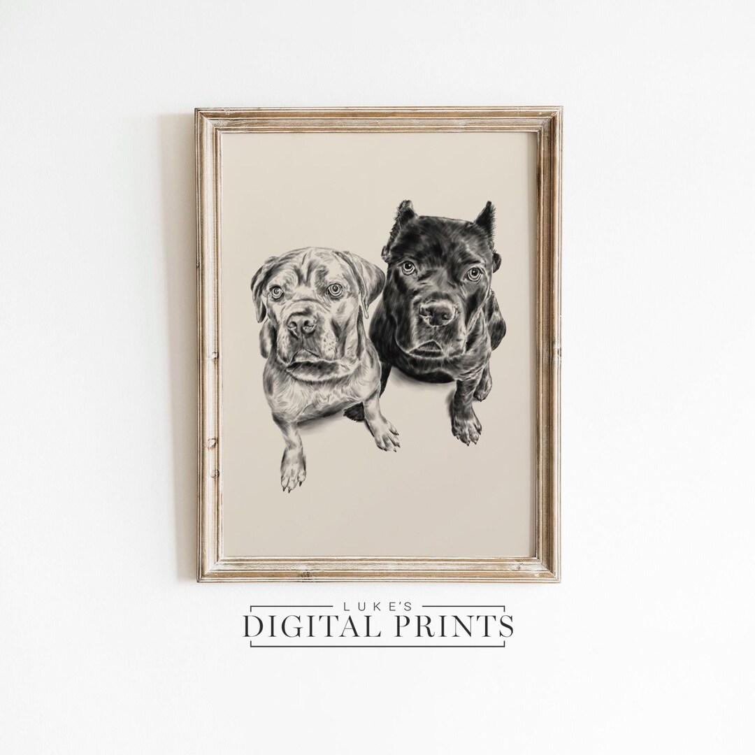 CUSTOM Dog Drawing - Pet Sketch From Photo - Vintage Style Animal ...