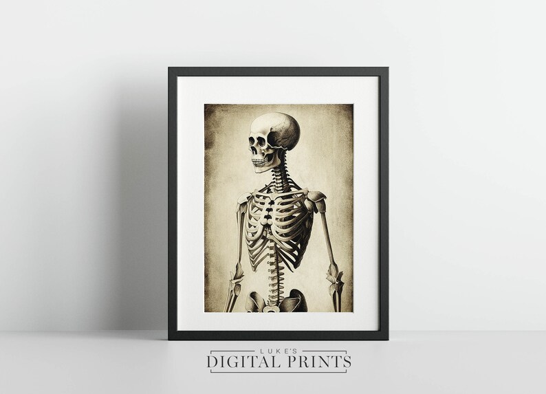 Squeleton Portrait Vintage Skeleton Portrait Sketch Digital Print - Instant Poster ...