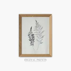 Minimalist Branch Sketch - Digital Print - Vintage Botanical Drawing - PRINTABLE Wall Art Download