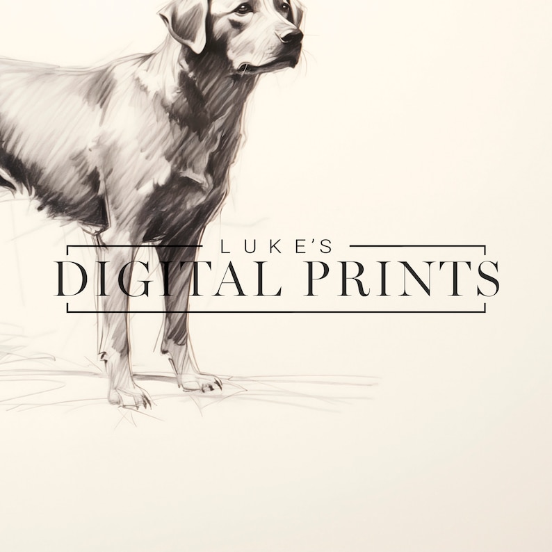Silver Labrador Art Drawing Print - Vintage Digital Download- Pet Dog Sketch Wall Decor - PRINTABLE