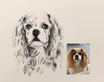 Personalized Pet Portrait From Photo - Digital Download - CUSTOM Dog Drawing - Hand Drawn Pencil Sketch Of Cat