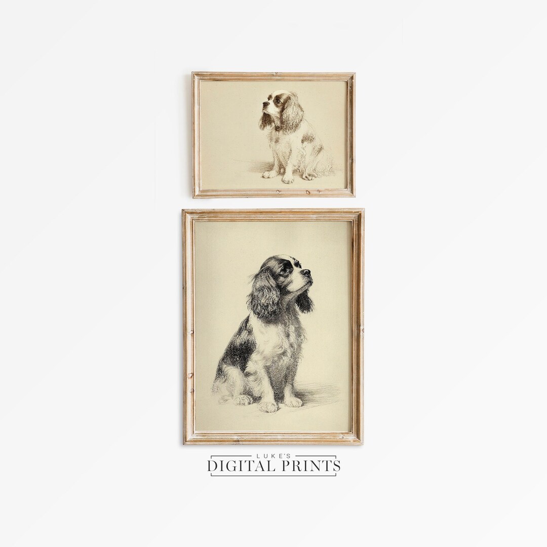 Cavalier King Charles Spaniel Sketch Print Set of 2 Digital Art