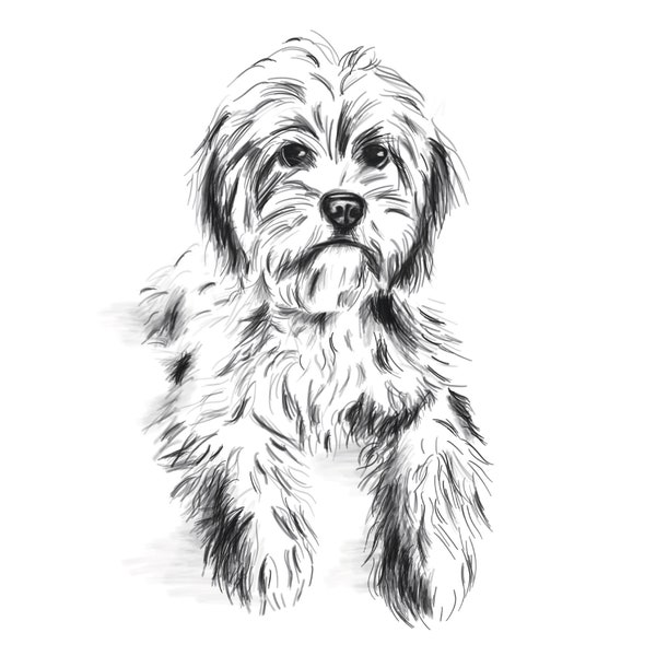 Custom Pet Dog Portrait Sketch - Digital Download - PRINTABLE Personalized Cat Drawing - Hand Drawn Memorial Gift Artwork