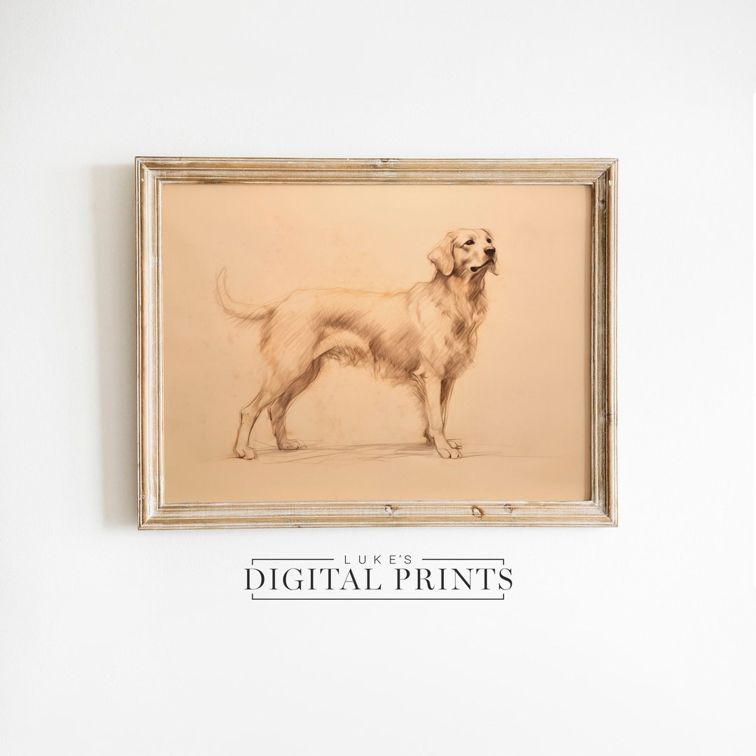 Rustic Golden Rustic Golden Retriever Standing Sketch - Digital Art Print Download ...