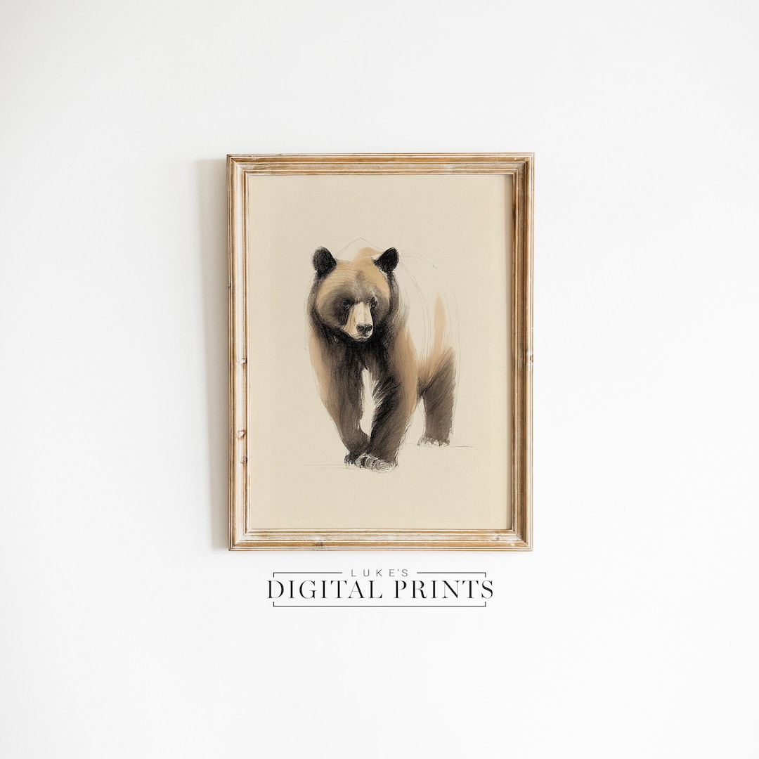 PRINTABLE Wild Black Bear Sketch Digital Print Download Minimalist Wildlife Art American Western