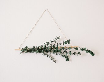 Eucalyptus Hanging Etsy