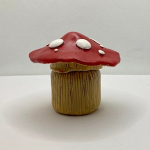 Mushroom Jar - Mushroom Stash Jar - Mushroom Container
