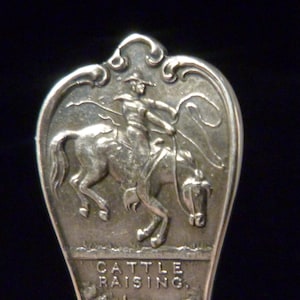Sterling Pike's Peak Colorado Springs Souvenir Spoon