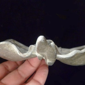May include: A silver-colored metal dish with a wavy, organic shape. The dish is designed to resemble a leaf or flower.