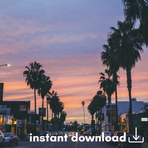 May include: A street lined with palm trees at sunset. The sky is a vibrant pink and purple, and the street is empty except for a few cars. The text "instant download" is superimposed on the image.