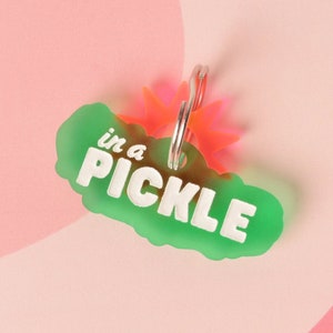 In a Pickle, Pickle Personalized Pet Tag, for vegetable loving Pets, ID for Cats and Dogs