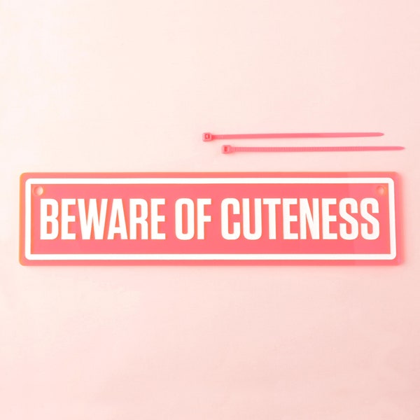 Beware of Cuteness Pet Crate Signs, New puppy gift, Colorful Engraved Pet Kennel Décor, For wire kennels and more