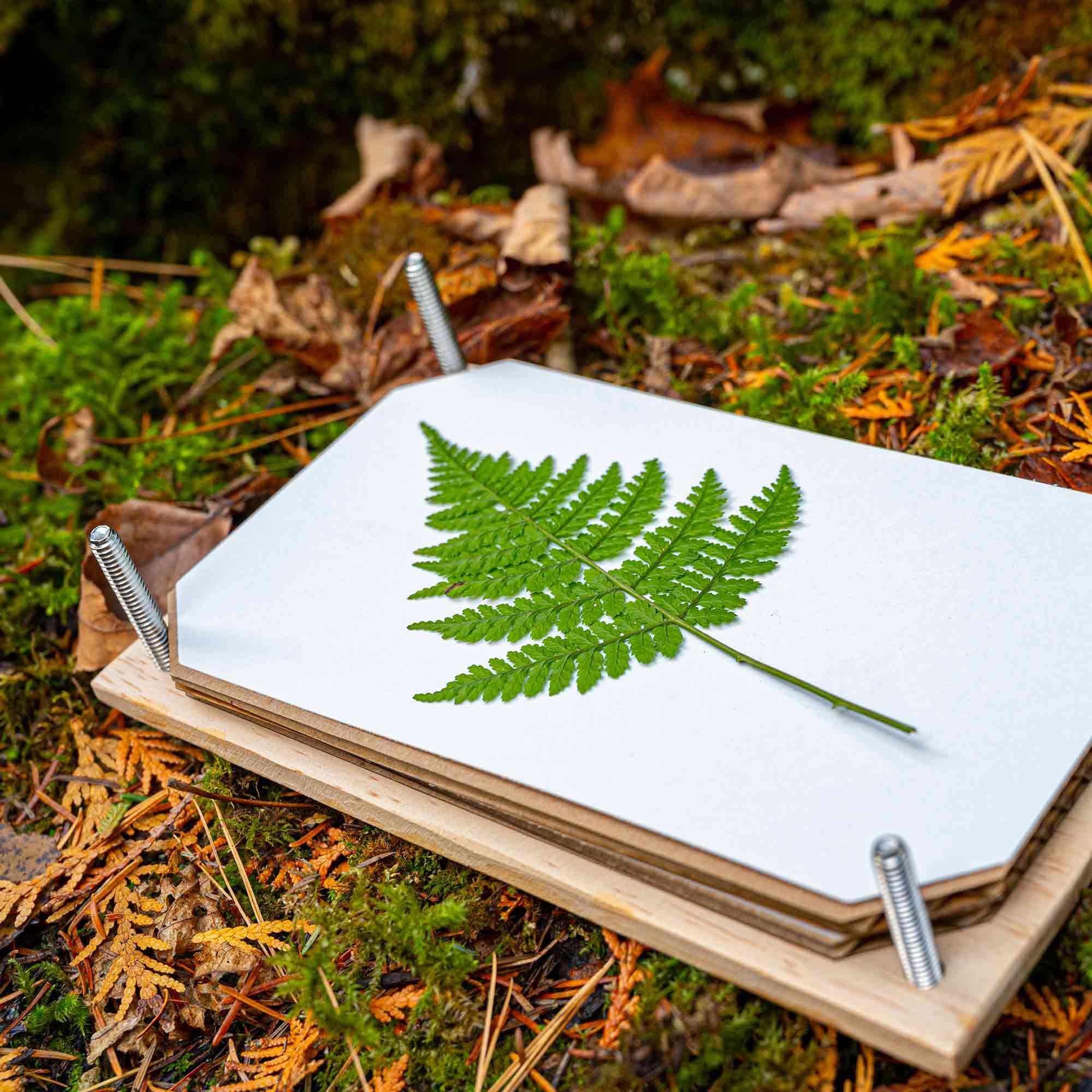 Wood Flower Press Kit Plant Leaf Preservation Set For Making - Temu