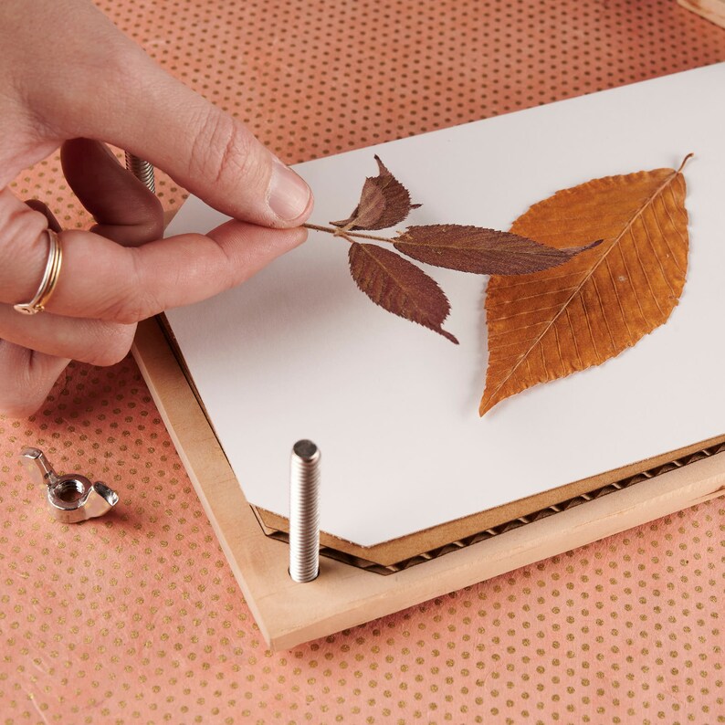 Botanical Heirloom Flower Press Kit Dried Flowers Fall Etsy Canada