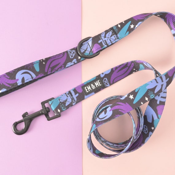 Spooky Magic Pet Leash , Halloween Style, Cute Witch Dog and Cat Lead, Lavender, Teal and Black