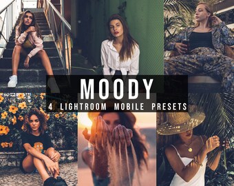 Ajustes preestablecidos de fotografía de Moody Ajustes preestablecidos de estilo de vida - 4 ajustes preestablecidos de Lightroom - Ajuste preestablecido para dispositivos móviles y ajustes preestablecidos para computadoras de escritorio