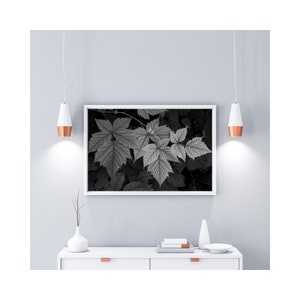 Black and white printable leaf wall art, leaves wall art, botanical photography wall art, printable wall art, leaf wall art, leaves wall art