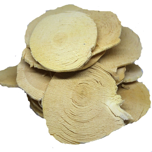 Tongkat Ali Root Slice Yellow Root Slice Tongkat Ali  Wild Longjack Indonesia