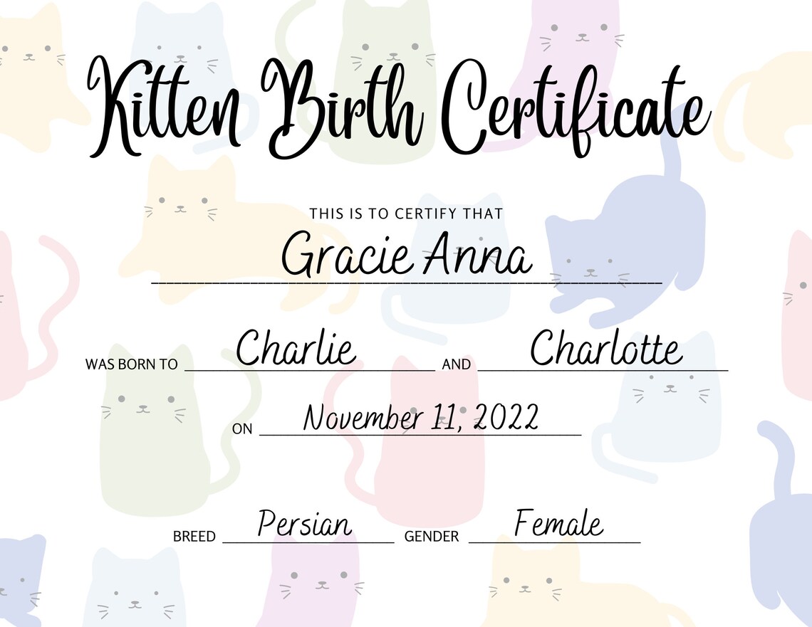 Kitten Birth Certificate, Breeder Birth Forms, Gift for New Kitten