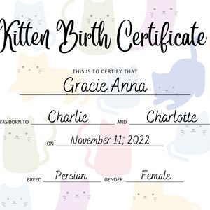 Kitten Birth Certificate, Breeder Birth Forms, Gift for New Kitten ...