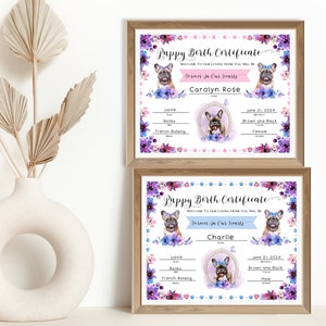 Franse Bulldog Puppy geboorteakte, fokker geboorteformulieren, cadeau voor nieuwe hondeneigenaar, nieuwe puppy, afdrukbare puppy geboorteakte, A273