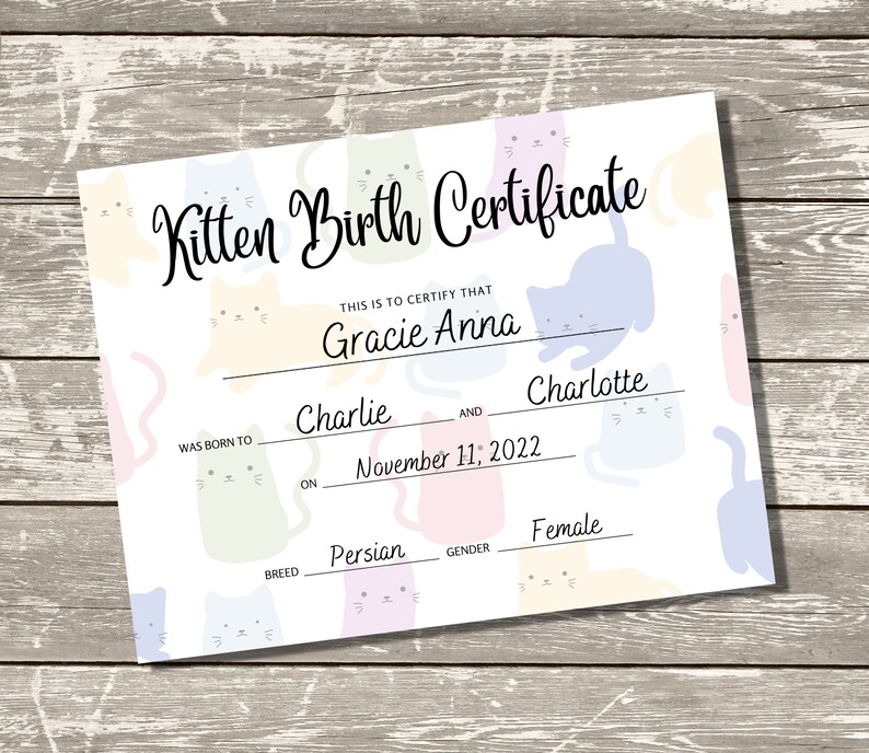 Kitten Birth Certificate, Breeder Birth Forms, Gift for New Kitten