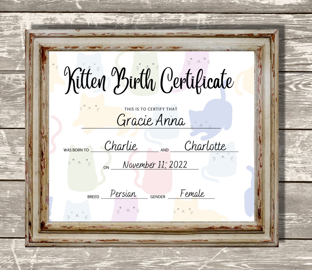 Kitten Birth Certificate, Breeder Birth Forms, Gift for New Kitten