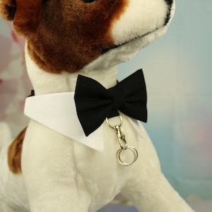 May include: White plush dog wearing a black bow tie and a white collar with a silver chain and two rings attached.