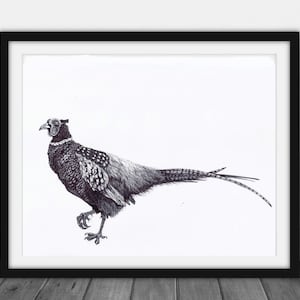 Digital download art, Pheasant wall Art Print, Game bird Instant downloadable Pheasant, Downloadable ART, Home Decor