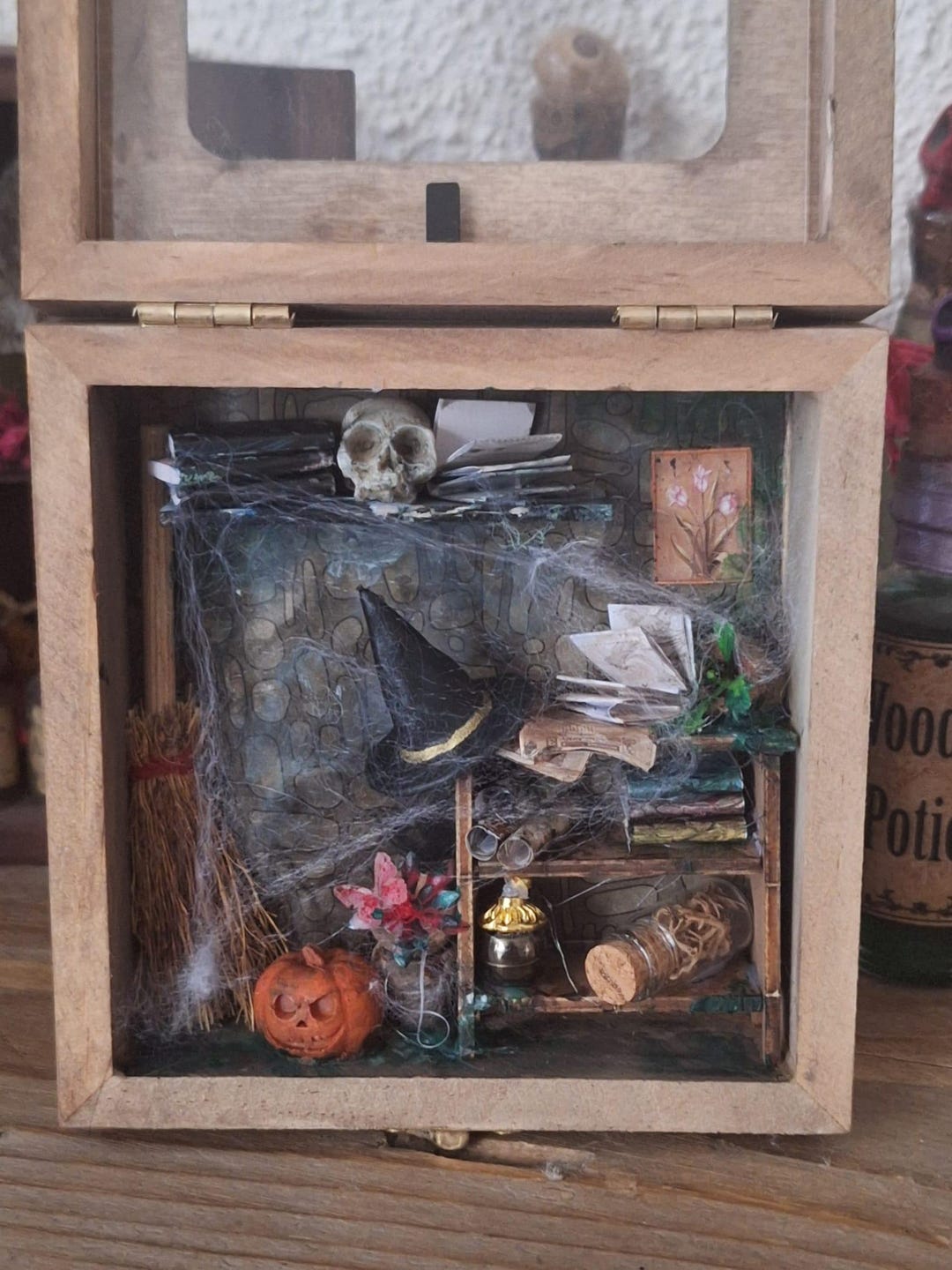 Gothic Curiosity Shadow Box | Witchy Miniature Cabinet | Dark Academia ...