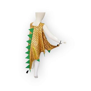 Gold Theme Costume - Etsy Australia