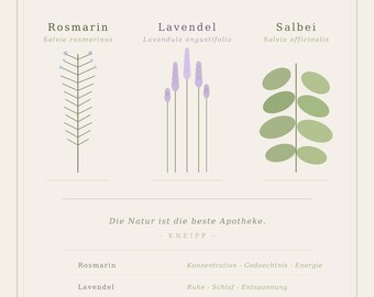 Botanische Kräuter Print · Rosmarin Lavendel Salbei · Druckbares Poster · Küchen Deko · Vintage Botanical Wall Art
