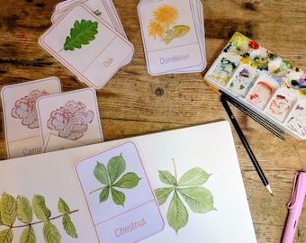 Flashcards feuilles - Montessori - cartes en trois parties
