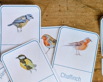 Flashcards oiseaux - Montessori - cartes en trois parties