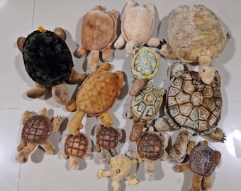 vintage kawaii stuffed animal steiff rubber shelled  slo turtle terrapin  tortoise