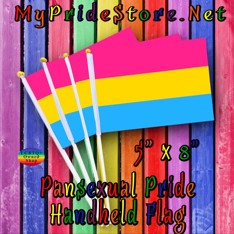 Hand Held Pansexual Pride Pan Pride Flag