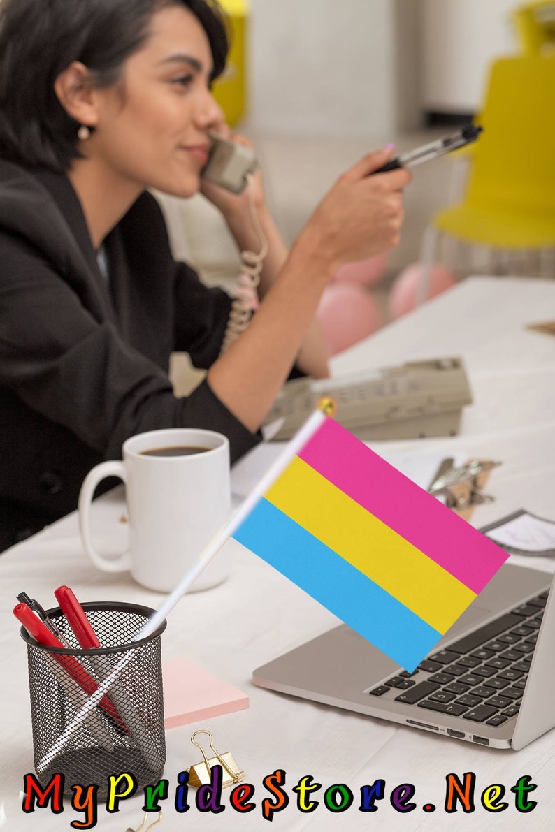 Hand Held Pansexual Pride Pan Pride Flag