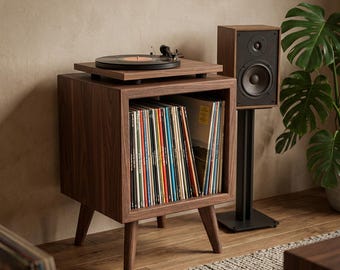 Vinyl opbergkast - draaitafelmeubels - massief houten lp-meubels