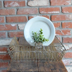 May include: A vintage-style, wire basket with a white plate and small green plant. The basket is made of gold-colored metal and sits on a wooden surface. The background is a red brick wall.