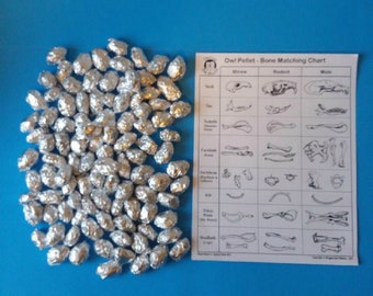 100 Small Owl Pellet Pack (1-1.5 inch)