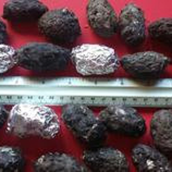 Medium Barn Owl Pellets 1 1/2 inch & up