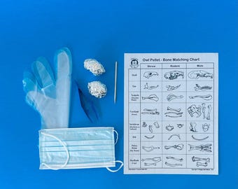 Uilpelletdissectiekit, individueel