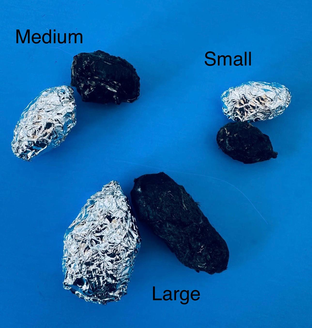 Owl Pellet Dissection Kit Uk