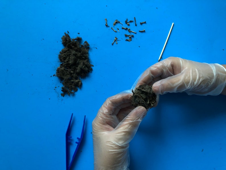 6 Large Owl Pellet Pack 2 Inch Etsy